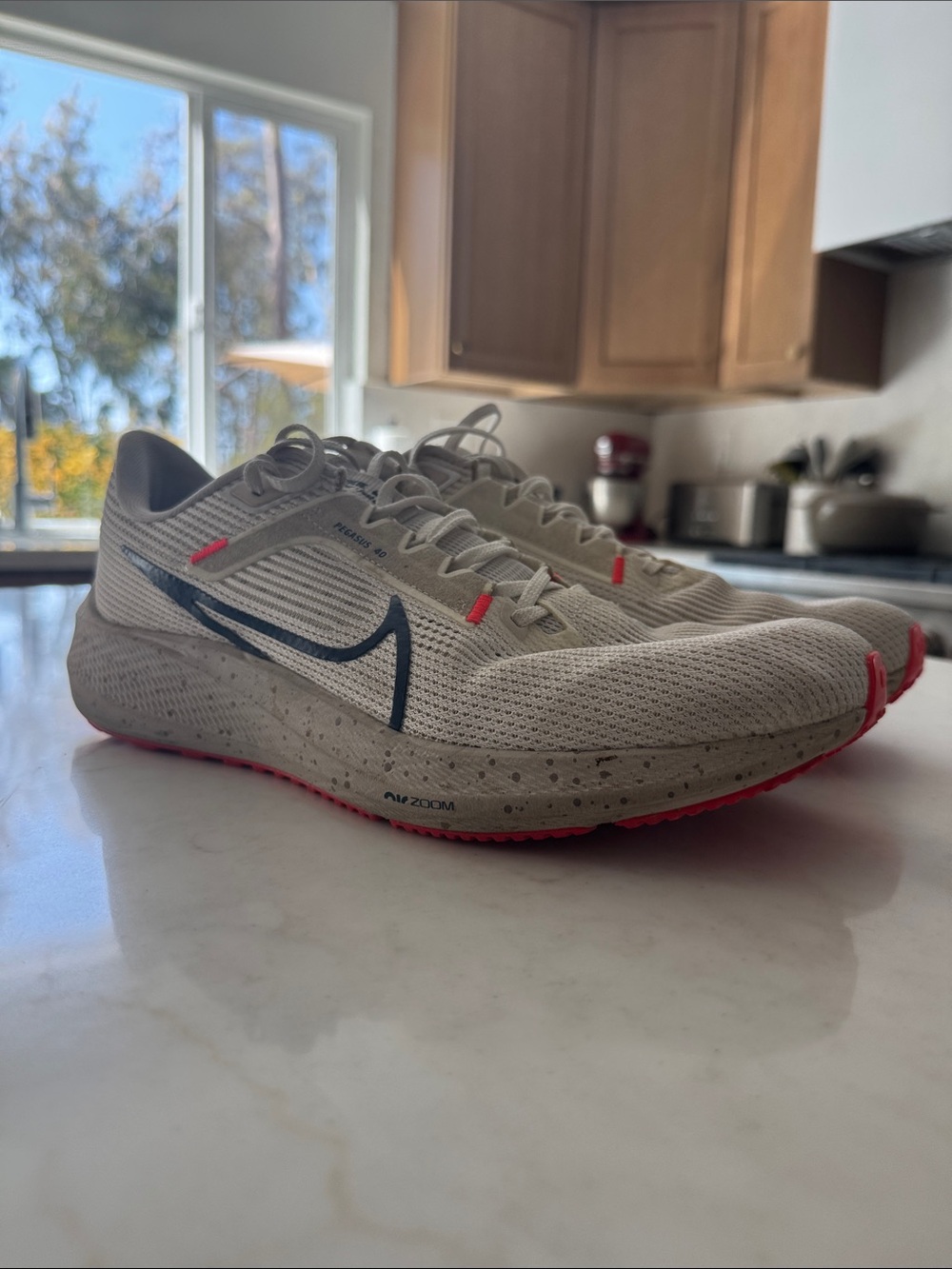 Nike Men’s Pegasus 40 Running Shoes - Light Gray with Pink Accents